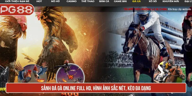 PG88 - Link Đăng Nhập PG88 Trang Chủ New + 88K Sảnh đá gà online full HD, hình ảnh sắc nét, kèo đa dạng